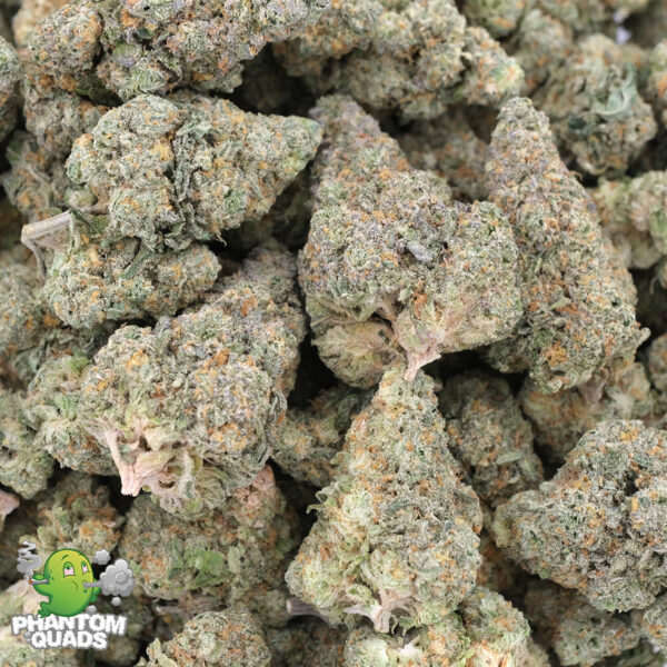 Strawberry Lemonade (Popcorns) – AAAA - Hybrid – Phantom Quads