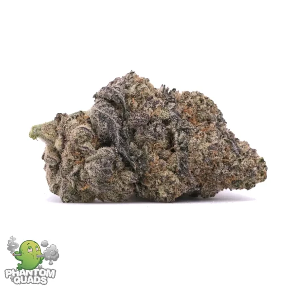 Blue Nerds — AAAA — Hybrid — Phantom Quads