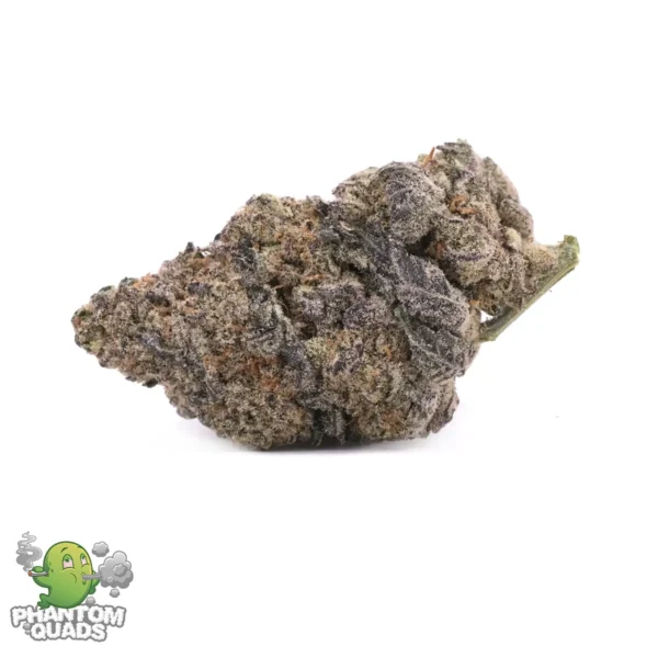 Blue Nerds — AAAA — Hybrid — Phantom Quads