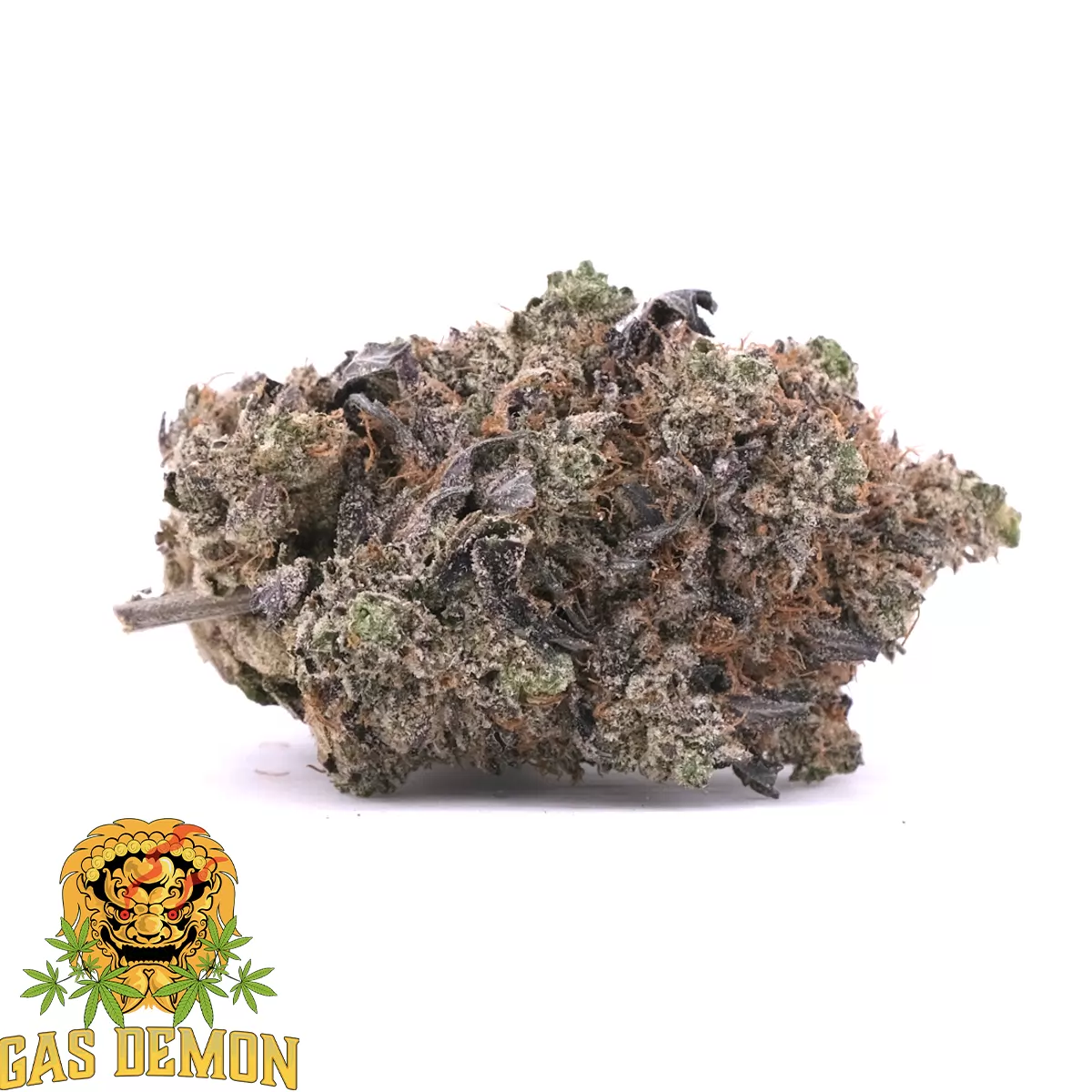 Bluefin Tuna AAAA Indica GasDemon 1