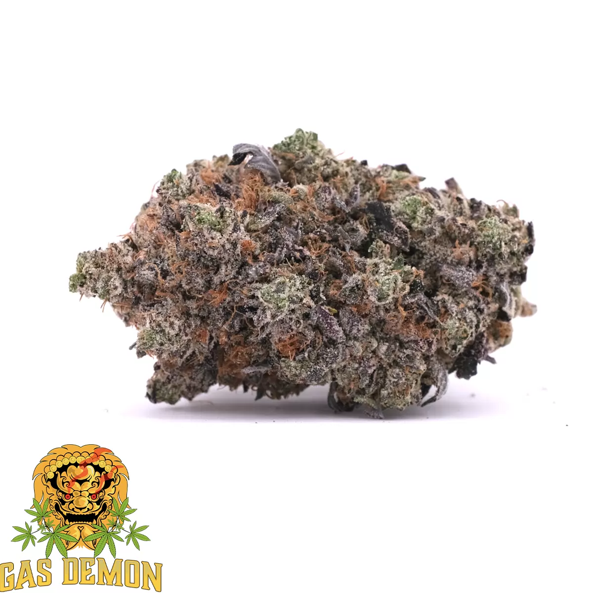 Bluefin Tuna AAAA Indica GasDemon 1