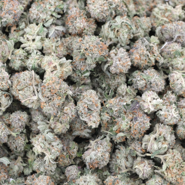 Platinum Grapes (Popcorns) — AAA — Indica