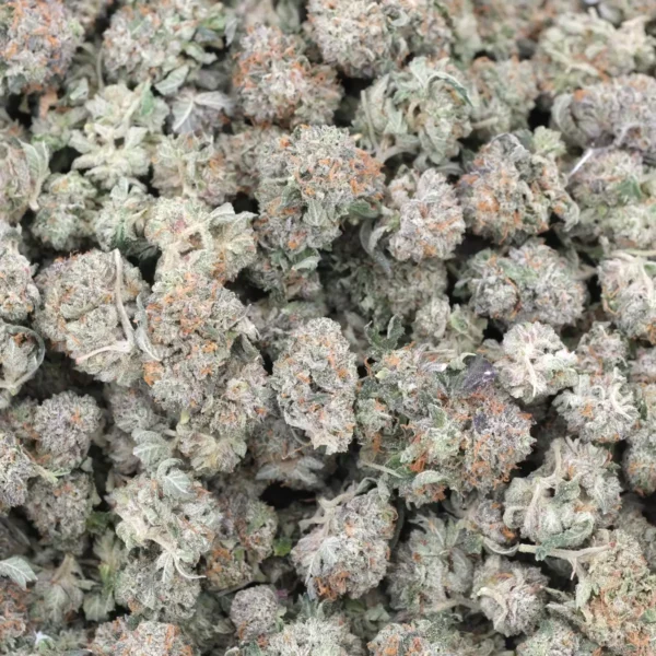 Platinum Grapes (Popcorns) — AAA — Indica