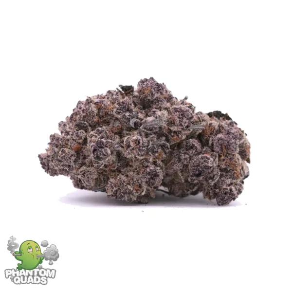 Purple Space Cookies AAAA Hybrid Phantom Quads